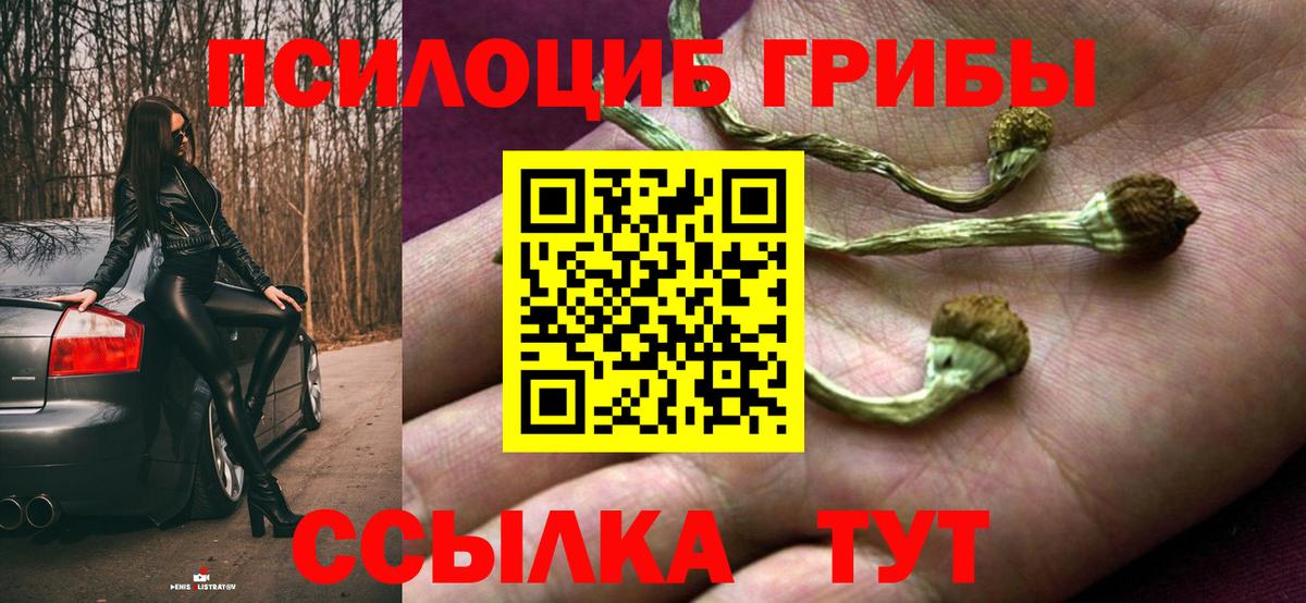 Галлюциногенные грибы Cubensis Кисловодск