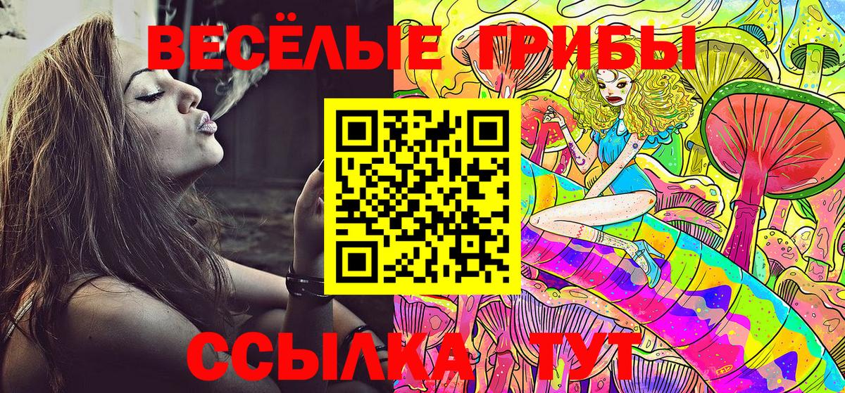 Галлюциногенные грибы ЛСД  наркота  Кисловодск  Вход с VPN  Псилоцибиновые грибы мухоморы 