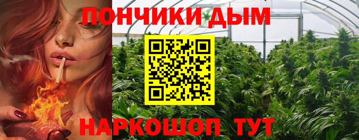 МАРИХУАНА Кисловодск