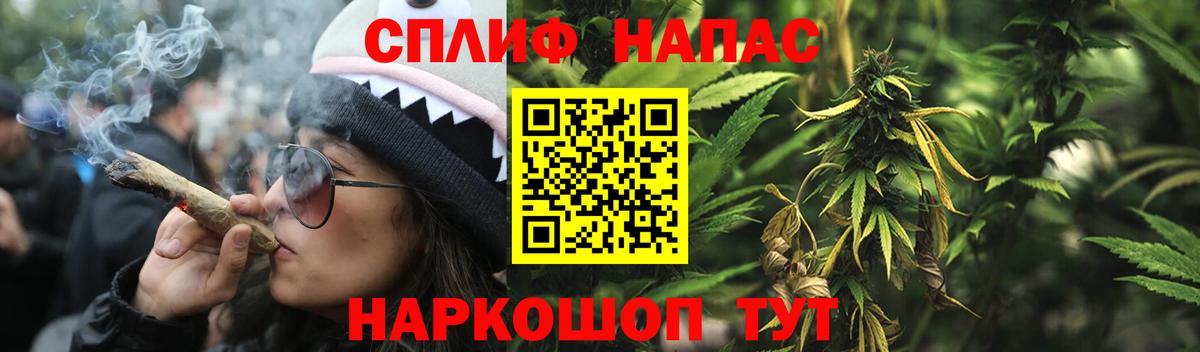 МАРИХУАНА сатива  Вход с VPN  Кисловодск  Бошки Шишки конопля  Каннабис конопля 