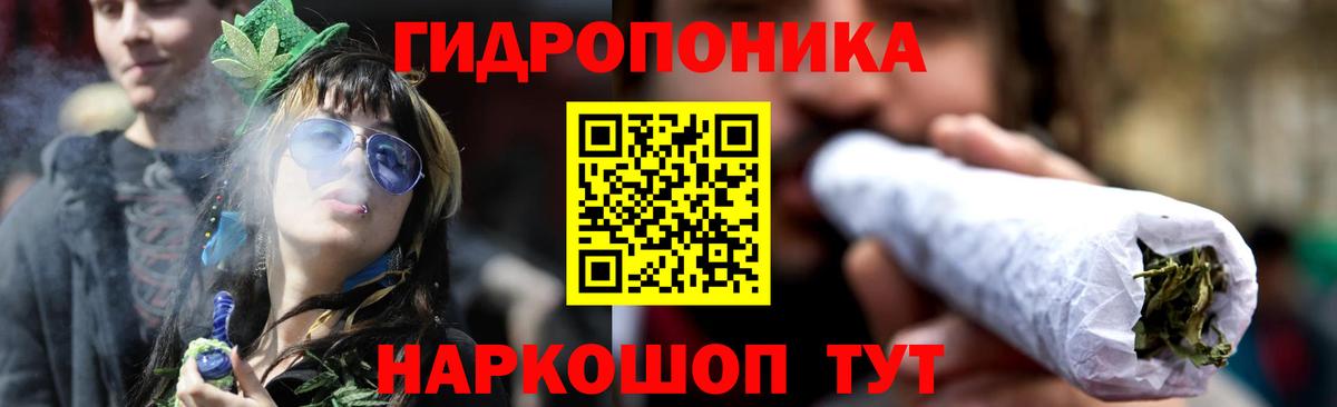 Бошки Шишки индика Кисловодск